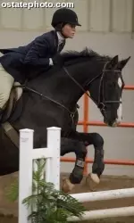 OSU Equestrian