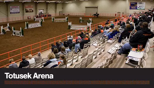 Totusek Arena