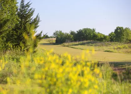 OSU Cross Country Course