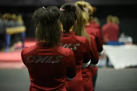 Team