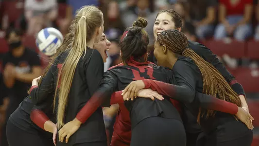 VB Team