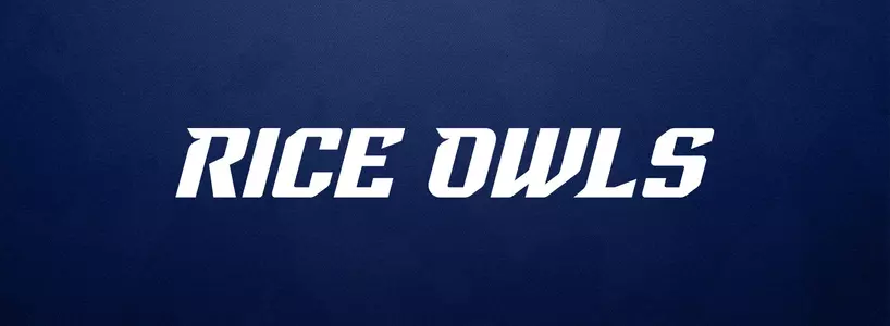 Wordmark