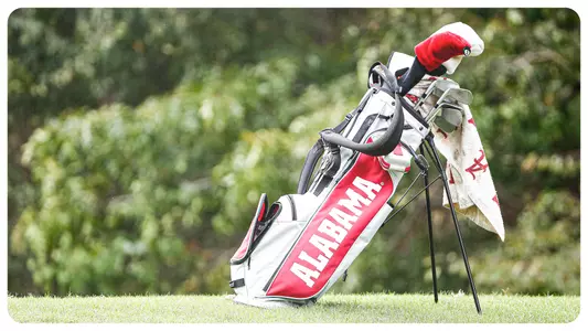 Golf Bag sitting on the grass