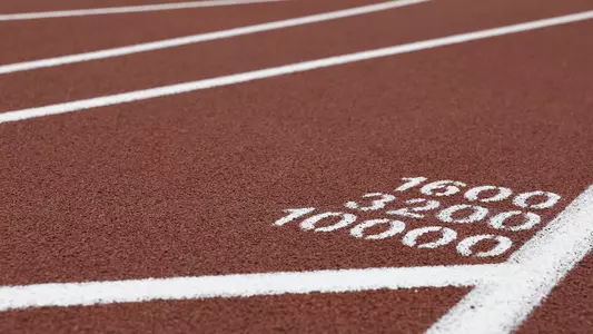 Surface of the track with the numbers 1600, 3200, and 10000 printed on it