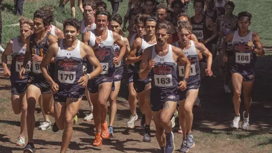 Team at USF
