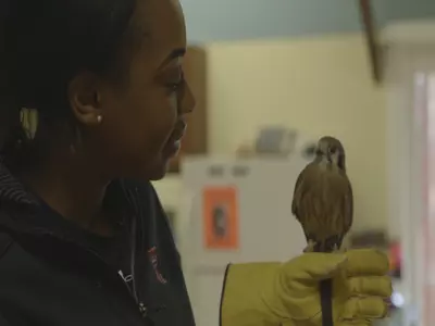 Dayo Olabode with Wildlife Center