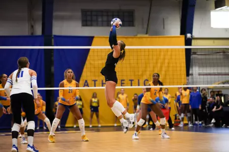 Volleyball at No. 3 Pittsburgh