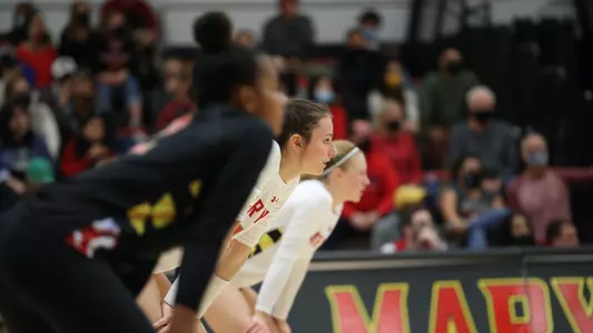 Volleyball