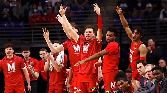 Basketball Bench Celebrating 
