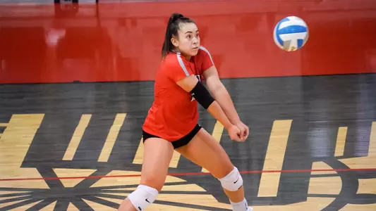 PARIS OLIVEIRA