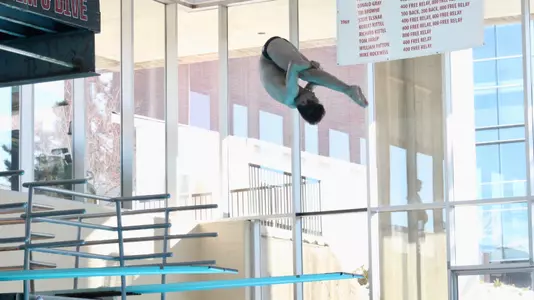 Utah Diving