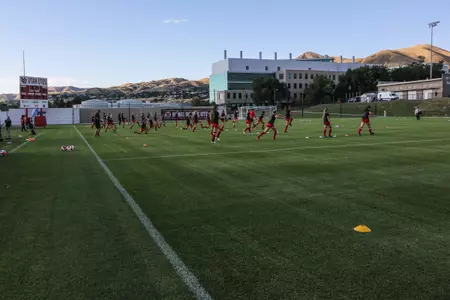 Ute Field