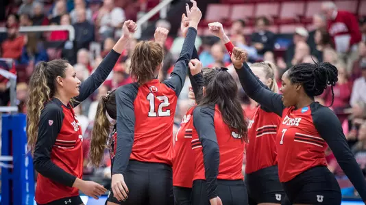 VB Team