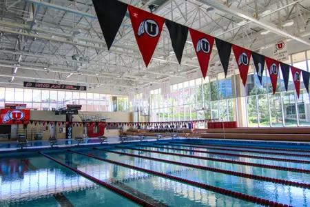 Don Reddish Pool 