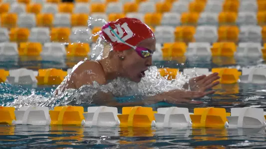Swim and Dive Colorado Mesa