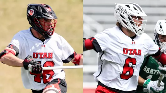 stines diponio draft