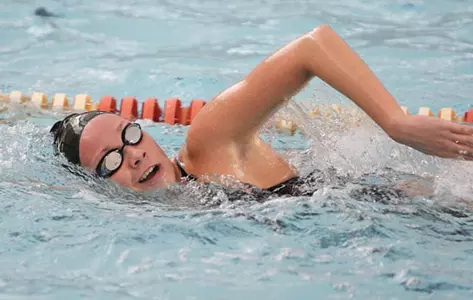 Penguins Have Record-Setting Evening at HL Championships Image