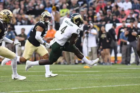 Devy Profile: Michael Gallup, WR Colorado State - Dynasty League Football