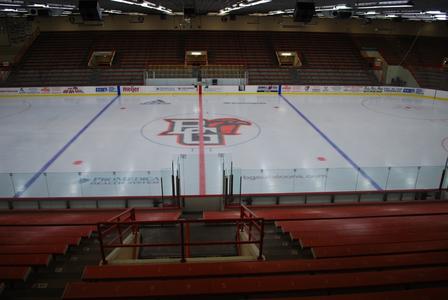 Lakefront (Barons) Arena - arena page