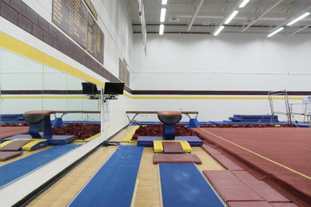 Athletic Arts Academy, Gymnastics & More