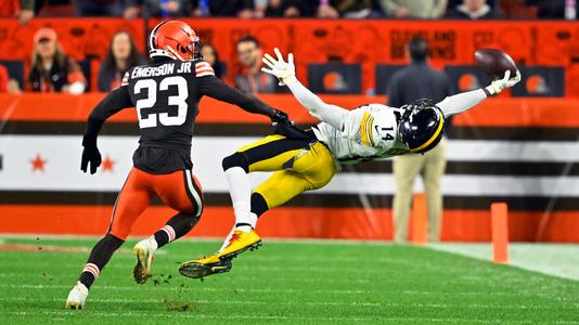 Pittsburgh Steelers 17 vs 29 Cleveland Browns summary: stats and