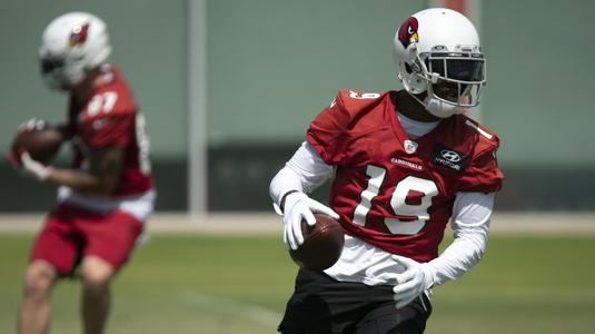 Arizona Cardinals 2021 roster heading into the offseason - Revenge