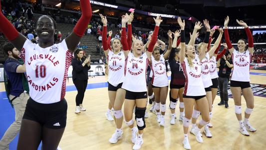 What you didn't know about the University of Louisville Ladybirds