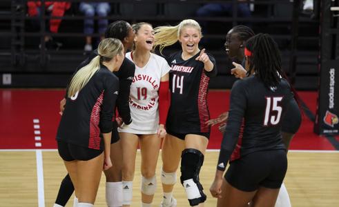 UOL Ladies Iconic Short  Louisville football, University of louisville,  Louisville basketball