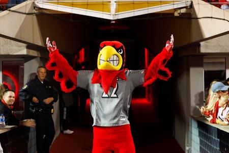 Photo, Jeff Brohm - University of Louisville