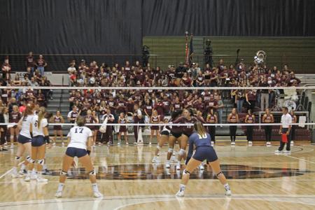 Montana volleyball crowd