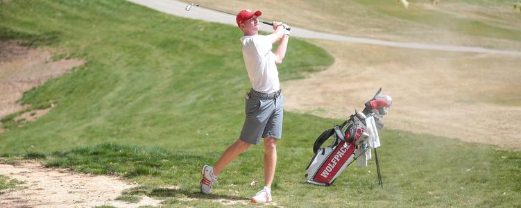 Louisville Cardinals Birdie Stand Golf Bag