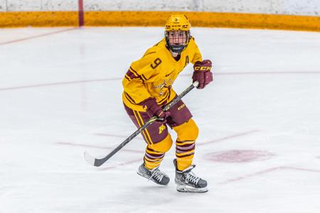 Minnesota picks Taylor Heise 1st in the inaugural Professional Women's  Hockey League draft