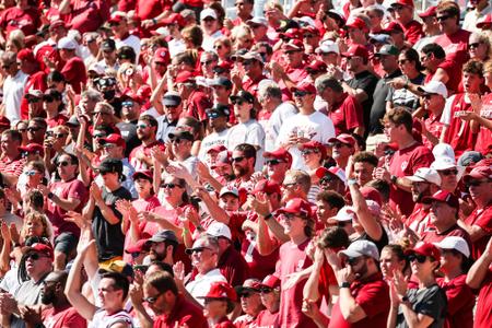 Louisville Cardinals Sports Fan Glasses for sale