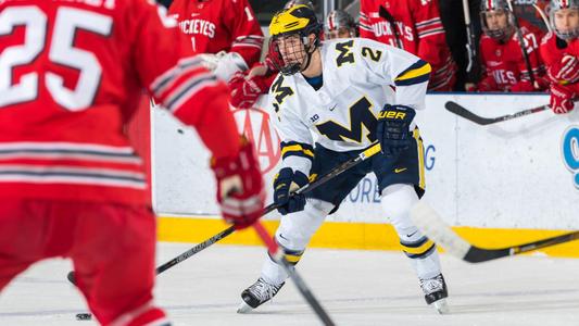 5 players with Michigan ties picked in 2nd round of NHL draft