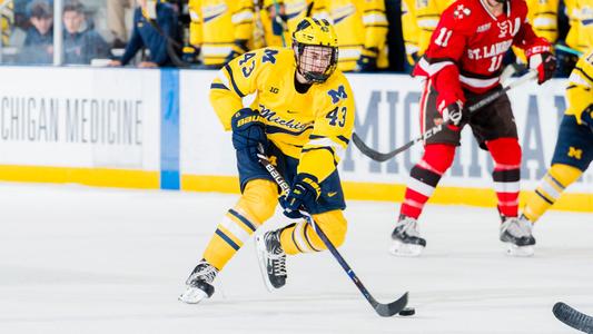 ANN ARBOR, MI - FEBRUARY 22: Michigan Wolverines defenseman Quinn Hughes  (43) celebrates his goal with teammates to tie the score at 1-1 during the  second period of the Michigan Wolverines game