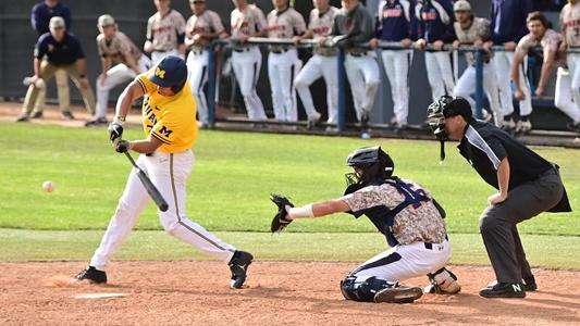 Photographer hits retailer over photo of player hitting Joey Bats