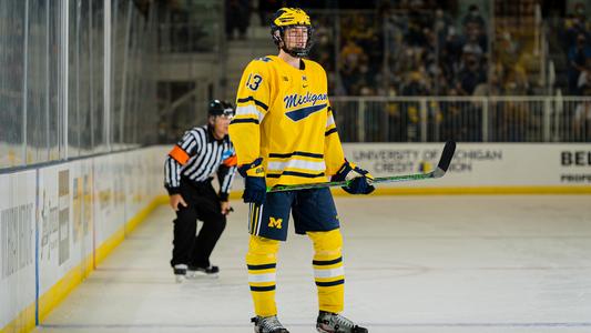 Michigan Hockey on X: Luke Hughes has named to the @usahockey
