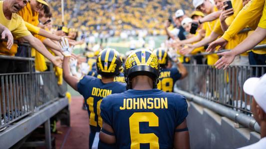 Men's Jordan Brand Brandon Graham Navy Michigan Wolverines Game Jersey Size: Large