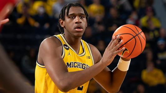 Michigan Basketball 2022 Class Breakdown 