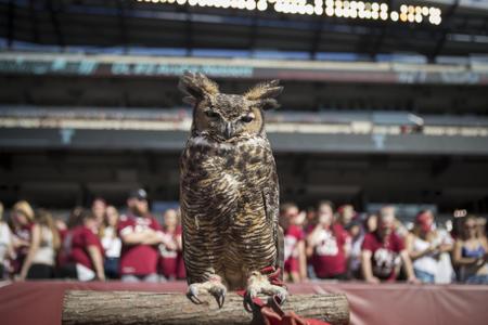 Lincoln Financial Field – Temple Owls