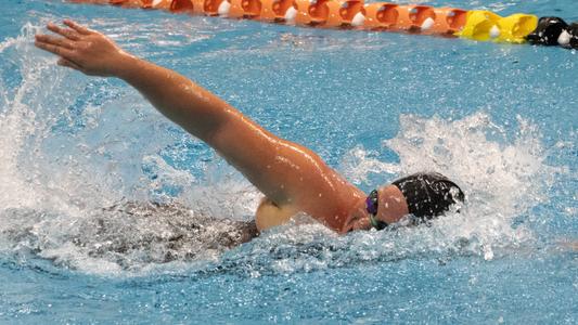 AQ Women's Swim & Dive Tops Kalamazoo Hornets - Aquinas College