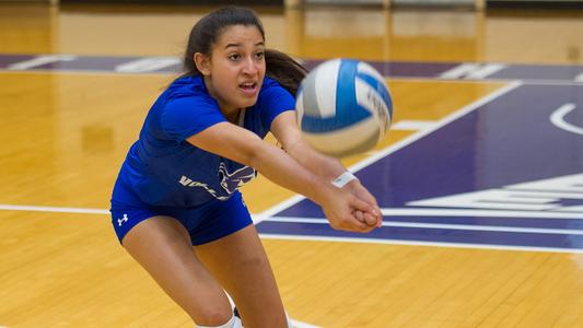 St. Catherine University Volleyball Camps