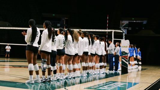 Lions release 2023 Volleyball Schedule - Texas A&M University