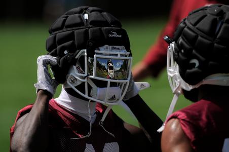 The Football Helmet. Personal Selection, by Brandon Martin