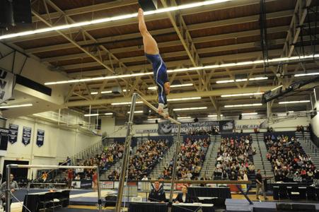 Lauren Brodie 2015 16 Women s Gymnastics University of New