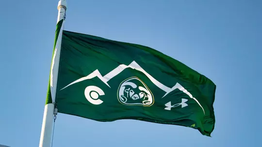 Shades of green, gold: 7 things to wear to the next CSU game – The