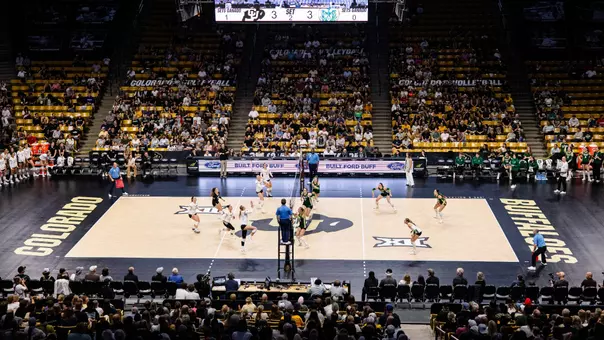 VB vs. CSU