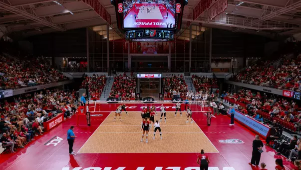 Reynolds during VB match