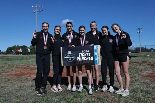 Ticket Punched 2024
