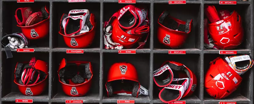 Batting Helmets